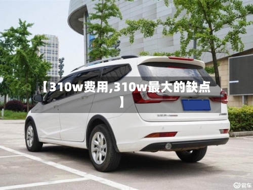 【310w费用,310w最大的缺点】