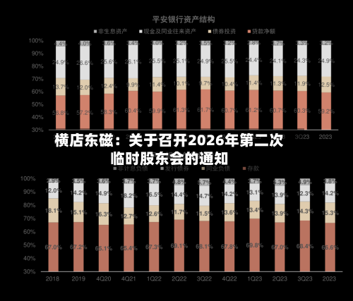 横店东磁：关于召开2026年第二次临时股东会的通知