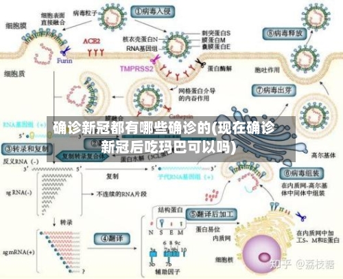 确诊新冠都有哪些确诊的(现在确诊新冠后吃玛巴可以吗)-第3张图片