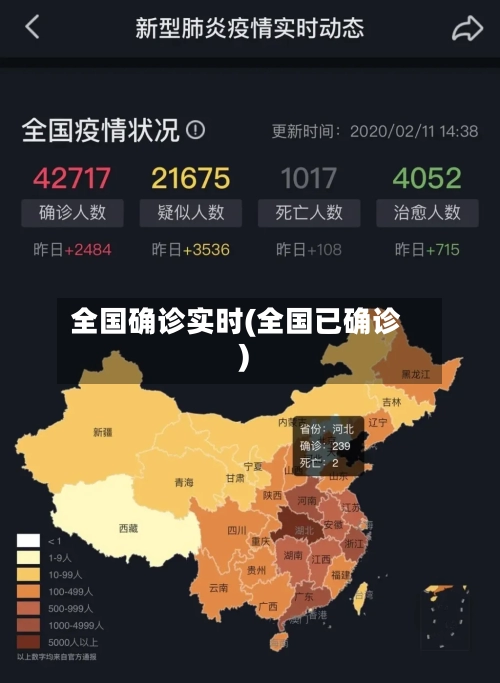 全国确诊实时(全国已确诊)