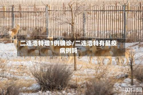 二连浩特增1例确诊/二连浩特有鼠疫病例吗-第2张图片