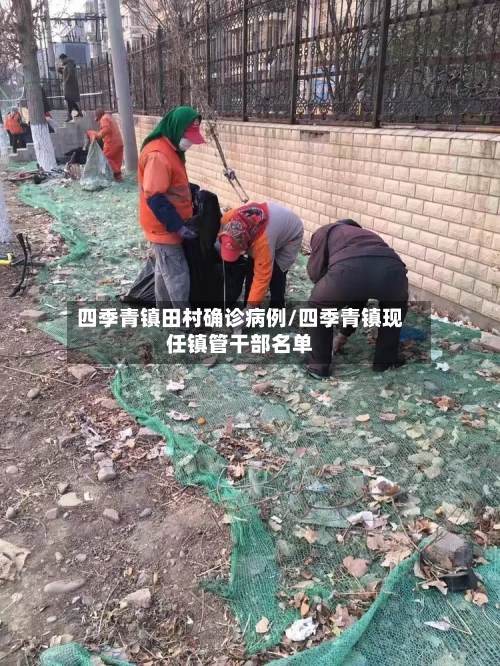 四季青镇田村确诊病例/四季青镇现任镇管干部名单-第2张图片