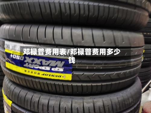 邓禄普费用表/邓禄普费用多少钱