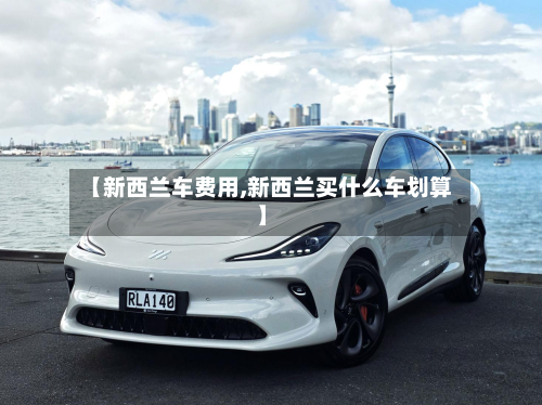 【新西兰车费用,新西兰买什么车划算】-第3张图片