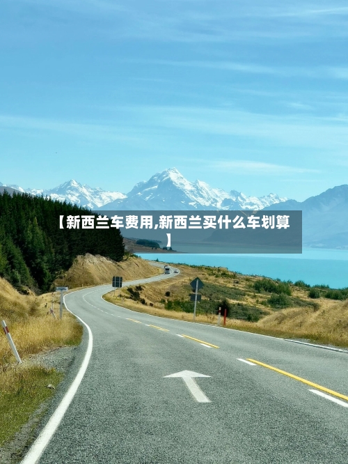 【新西兰车费用,新西兰买什么车划算】-第2张图片