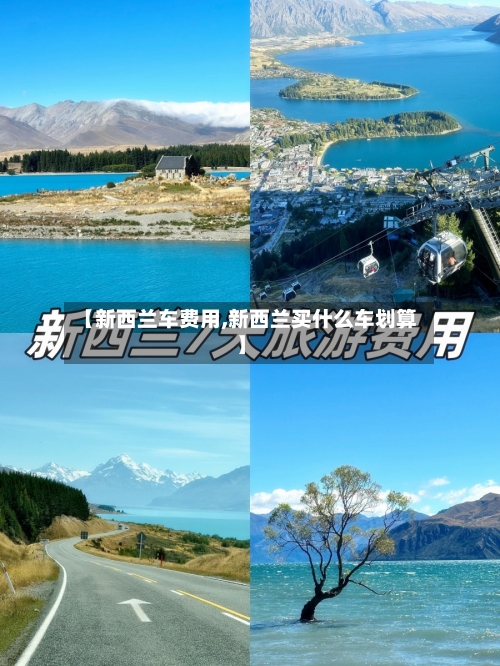【新西兰车费用,新西兰买什么车划算】