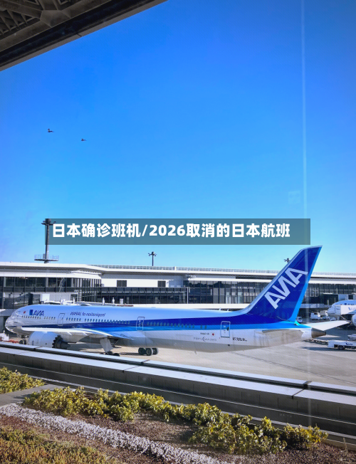 日本确诊班机/2026取消的日本航班