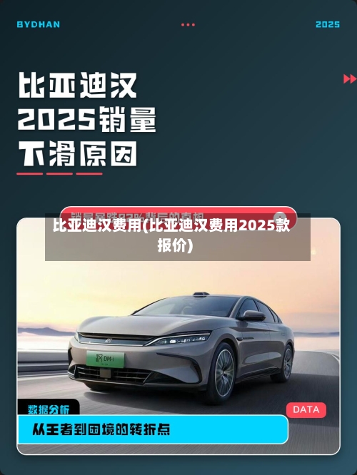 比亚迪汉费用(比亚迪汉费用2025款报价)-第2张图片