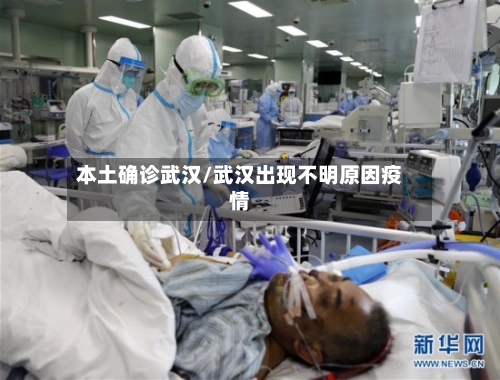 本土确诊武汉/武汉出现不明原因疫情