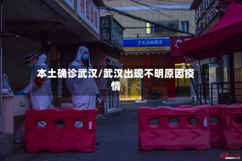 本土确诊武汉/武汉出现不明原因疫情-第2张图片