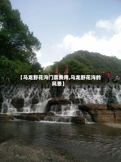 【马龙野花沟门票费用,马龙野花沟的风景】-第3张图片