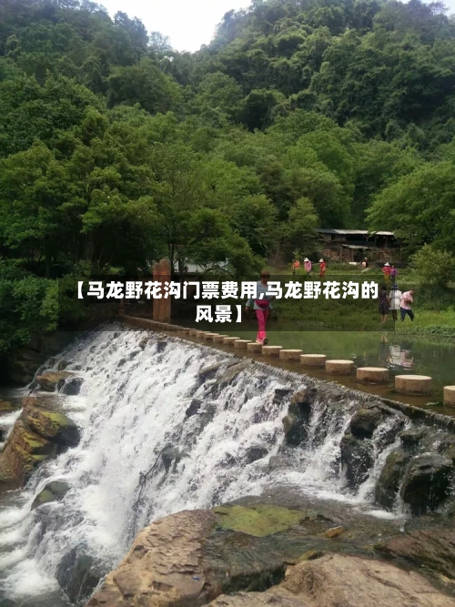 【马龙野花沟门票费用,马龙野花沟的风景】
