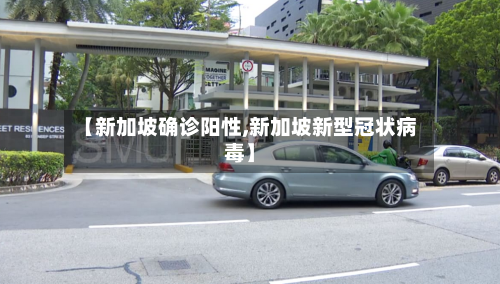 【新加坡确诊阳性,新加坡新型冠状病毒】