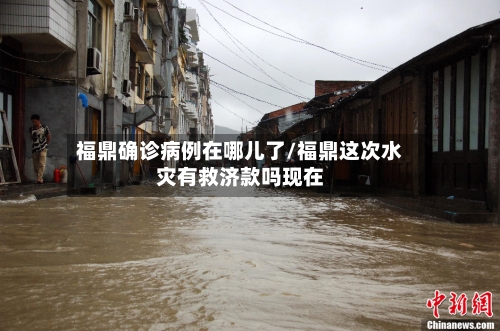 福鼎确诊病例在哪儿了/福鼎这次水灾有救济款吗现在-第2张图片