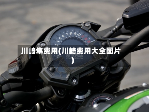 川崎隼费用(川崎费用大全图片)