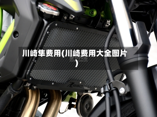 川崎隼费用(川崎费用大全图片)-第2张图片
