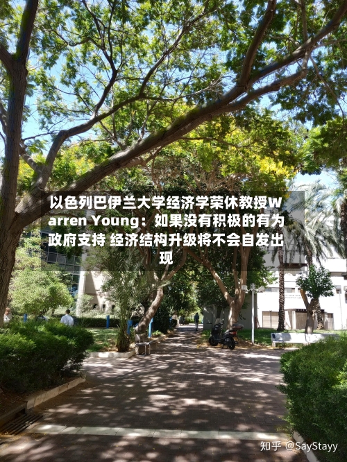 以色列巴伊兰大学经济学荣休教授Warren Young:如果没有积极的有为政府支持 经济结构升级将不会自发出现-第2张图片