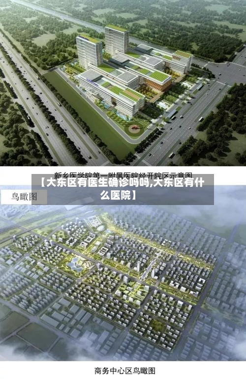 【大东区有医生确诊吗吗,大东区有什么医院】