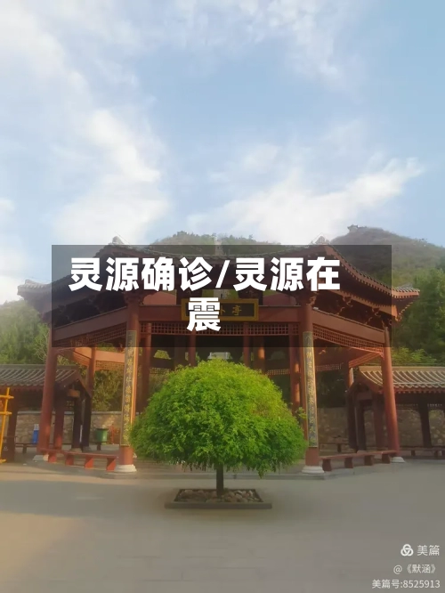 灵源确诊/灵源在震-第2张图片
