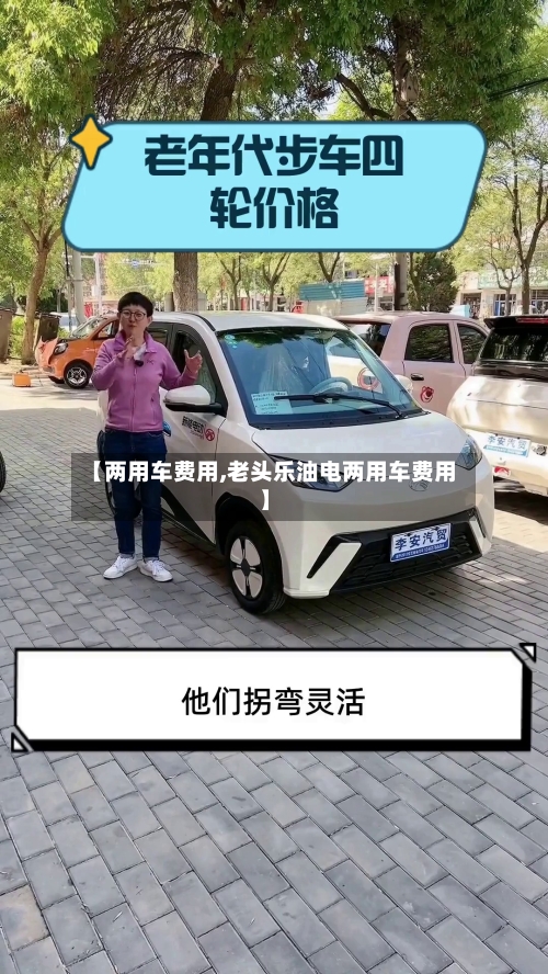 【两用车费用,老头乐油电两用车费用】