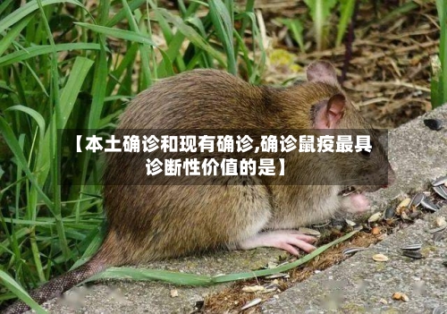 【本土确诊和现有确诊,确诊鼠疫最具诊断性价值的是】