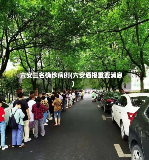 六安三名确诊病例(六安通报重要消息)-第3张图片