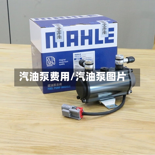 汽油泵费用/汽油泵图片