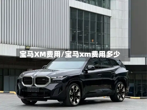 宝马XM费用/宝马xm费用多少