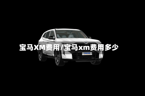 宝马XM费用/宝马xm费用多少-第2张图片