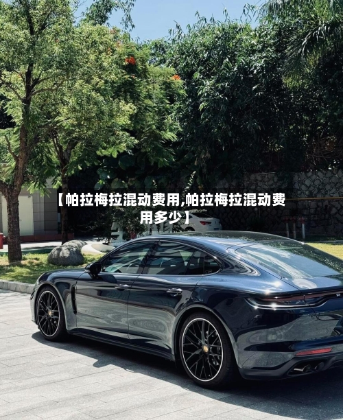 【帕拉梅拉混动费用,帕拉梅拉混动费用多少】