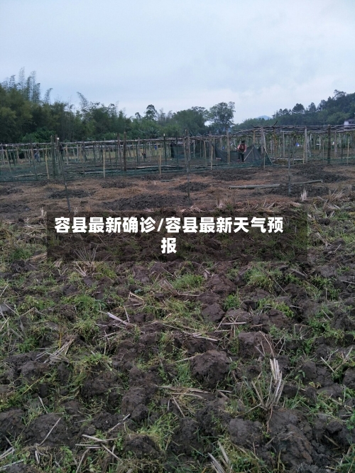 容县最新确诊/容县最新天气预报
