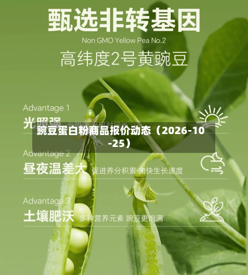 豌豆蛋白粉商品报价动态（2026-10-25）-第3张图片