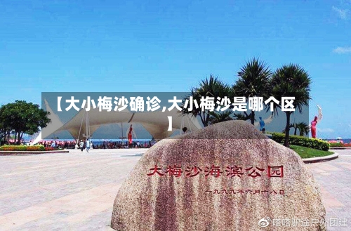 【大小梅沙确诊,大小梅沙是哪个区】-第1张图片