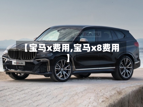 【宝马x费用,宝马x8费用】-第2张图片