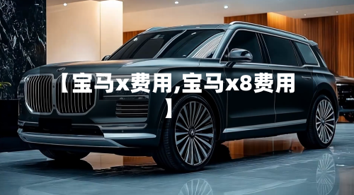 【宝马x费用,宝马x8费用】-第3张图片