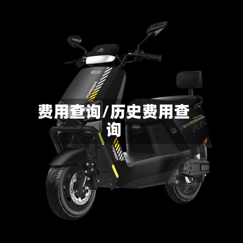 费用查询/历史费用查询