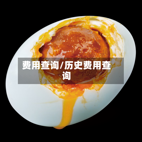 费用查询/历史费用查询-第3张图片