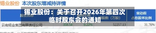 锡业股份:关于召开2026年第四次临时股东会的通知