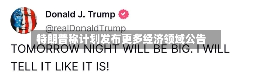 特朗普称计划发布更多经济领域公告