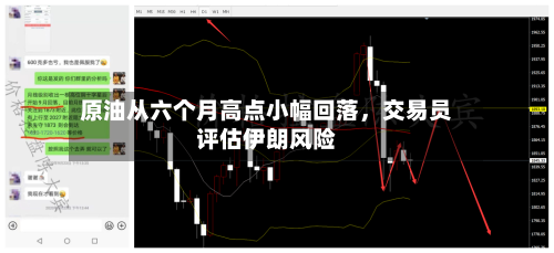 原油从六个月高点小幅回落，交易员评估伊朗风险-第2张图片