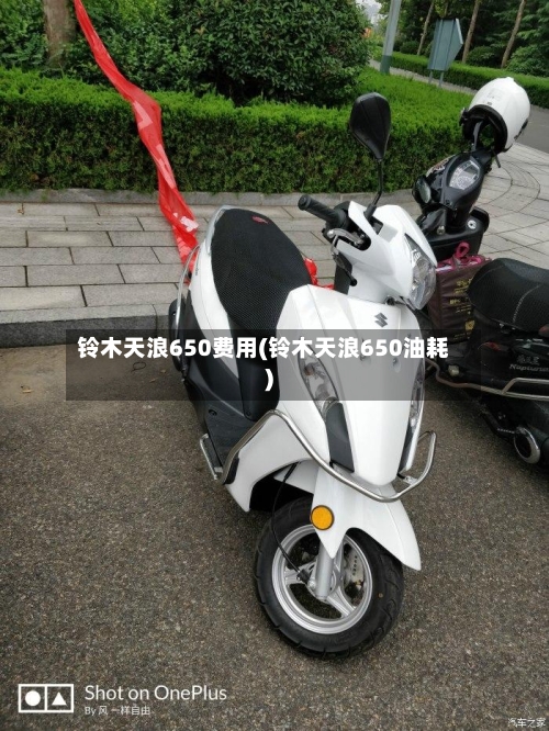 铃木天浪650费用(铃木天浪650油耗)