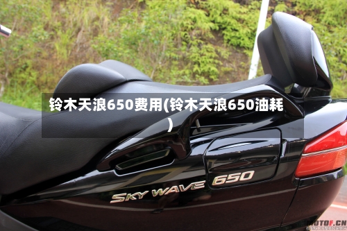 铃木天浪650费用(铃木天浪650油耗)-第2张图片
