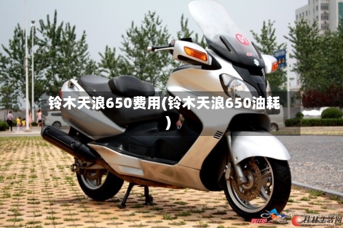 铃木天浪650费用(铃木天浪650油耗)-第3张图片