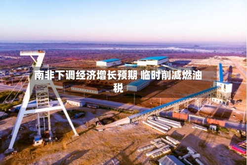 南非下调经济增长预期 临时削减燃油税-第3张图片
