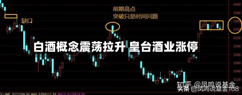 白酒概念震荡拉升 皇台酒业涨停-第2张图片