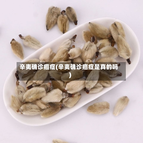 辛夷确诊癌症(辛夷确诊癌症是真的吗)-第2张图片