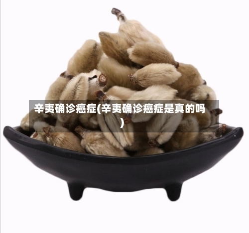 辛夷确诊癌症(辛夷确诊癌症是真的吗)