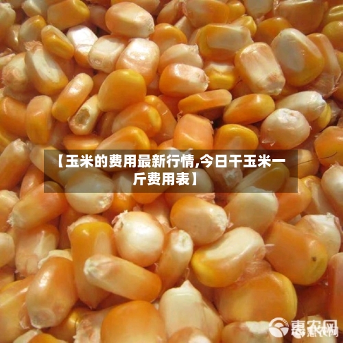 【玉米的费用最新行情,今日干玉米一斤费用表】