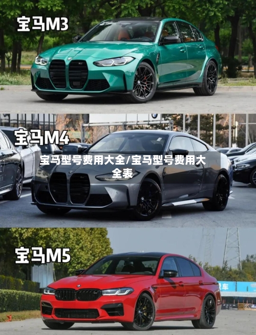 宝马型号费用大全/宝马型号费用大全表-第2张图片