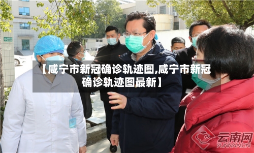 【咸宁市新冠确诊轨迹图,咸宁市新冠确诊轨迹图最新】-第3张图片